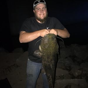 Meet your Posher, Seth